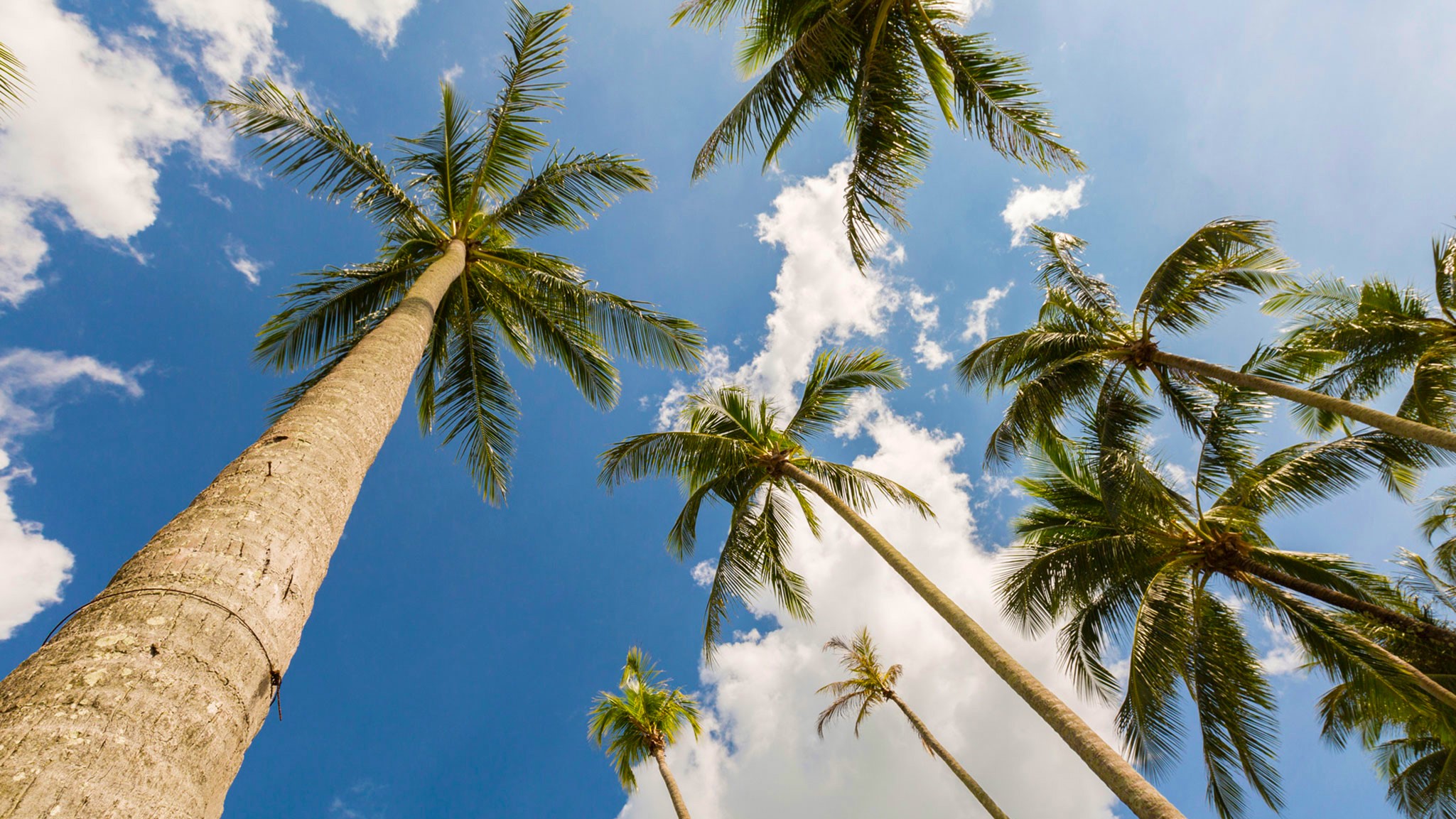 30 Jivana Beach Villas - Villa Shanti - Idylic tropical haven