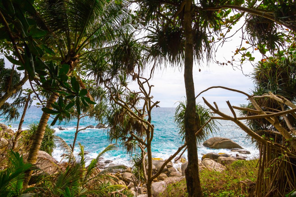 Phuket-2018-6-1024x683